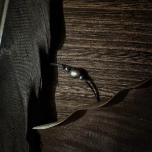 🇲🇽「守護之盾」墨西哥銀曜石南美蠟繩手鏈。Silver Sheen Obsidian Bracelet.